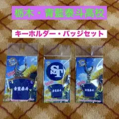 2026年最新】青藍泰斗の人気アイテム - メルカリ