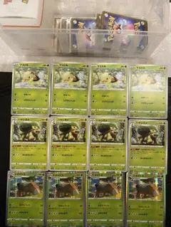 ドダイトス　ハヤシガメ　ナエトル進化ライン