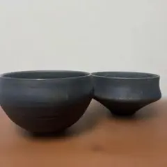 VALIEM GHOST BOWL L 検/作家鉢 陶器鉢 塊根 グラキリス - メルカリ