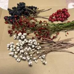 野ばらの実、ナンキンハゼ、シャリンバイ、サンキライの実のセット