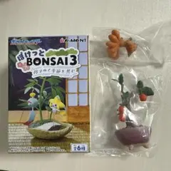 ポケモン ぽけっとBONSAI3 ロコン リーメント