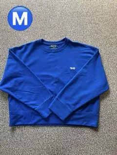 Item thumbnail for item 163cc95d-ce65-4d9c-a940-934d3c7249c1