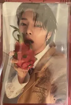 【スキズ Stray Kids】Hollowアイエンラントレ【I.N】