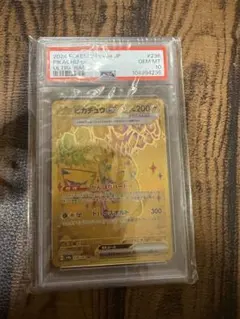ピカチュウex UR 236/187]「テラスタルフェスex」 PSA 10
