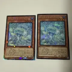 2026年最新】マルチャミープルリアの人気アイテム - メルカリ