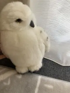 スタジオツアーメイキングオブハリーポッター　ヘドウィグ手乗り人形