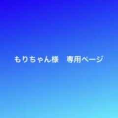 もりちゃん様　専用ページです