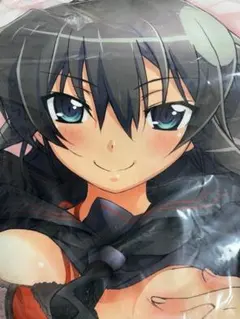 2025年最新】閃乱の人気アイテム - メルカリ