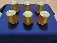 日本蜜蜂の蜂蜜 600g×2本 2年熟成 - メルカリ