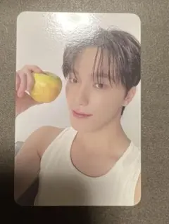 17 is right here carat盤 ディノ トレカ