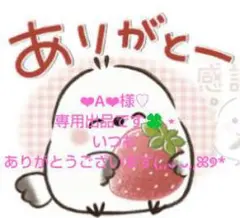 ❤︎A❤︎様♡専用出品です❤のサムネイル
