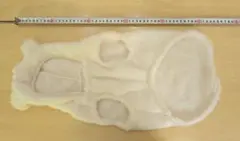 Item thumbnail for item c2563af4-5a78-47c7-a1fd-99d728e31c25