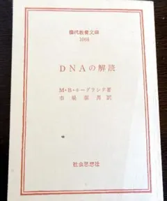 DNAの解読 　　M・B・ホーグランド著