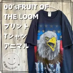 00’sFRUITOFTHELOOM プリントTシャツアニマル イーグル【古着】