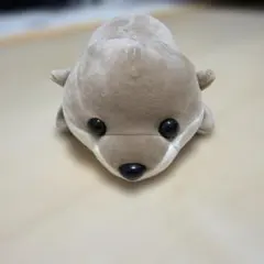 新江ノ島水族館 ハッピーマリン カワウソぬいぐるみ - メルカリ