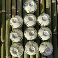 Item thumbnail for item 99469d5f-e512-4eb8-8dd2-b0c46137ab4b