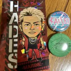 武知海青 千社札 缶バッジ セット