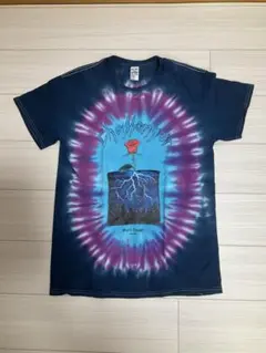 CHALLENGER タイダイ Tシャツ スネークプリント M - メルカリ