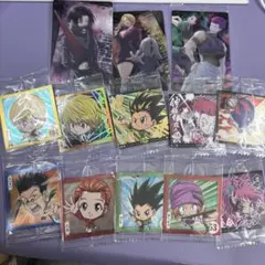 ハンター×ハンター ステッカーセット 14枚 クラピカ ヒソカ ゴン レア