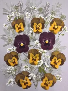 Item thumbnail for item ad6642fe-2d28-458b-b1a0-8c664d59961c