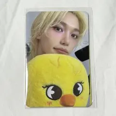 StrayKids スキズ ポップアップ 特典 ピリ ハン フィリックス 2025年最新】STRAYKIDS ポップアップ トレカ フィリックスの人気