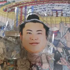 翔猿 ヘアクリップ　フェイスヘアピン