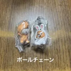 SKZOO つまんでつなげてますこっとvol.2 味噌 リービット ハンクォッカ