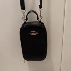 Item thumbnail for item b6757b37-9e4b-4188-9d46-86f97e07b390