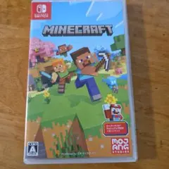 minecraft switch