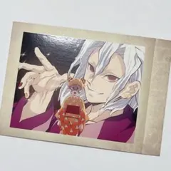 【美品】 鬼滅の刃 ぱしゃこれ 遊郭編 宇髄天元 善子 我妻善逸 其ノ肆 14