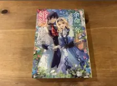 義姉の代わりに、余命一年と言われる侯爵子息様と婚約することになりました 瑪々子