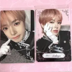 NCT WISH サクヤ 2周年 ペンミ MD トレカ