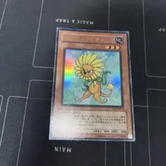 ダンディライオン(ウルトラ)