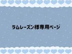ラムレーズン様専用ページ
