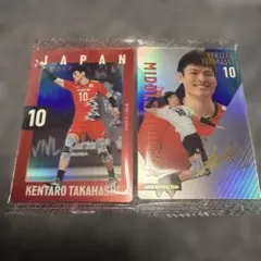 男子バレーウエハーストレカ　高橋健太郎　2種