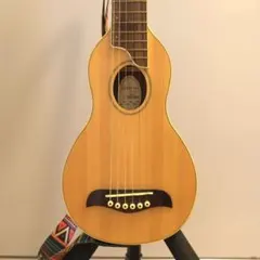 2026年最新】washburn エレキギターの人気アイテム - メルカリ