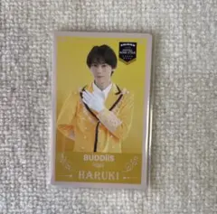 EBiDAN THE LIVE 2025 BUDDiiS HARUKI トレカ