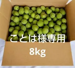 ことは様専用　青梅 8kg