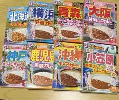 るるぶ×HACHI コラボカレー まとめ売り レトルトカレー45食 保存食