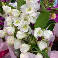 chunta3様 リクエスト 2点 まとめ商品