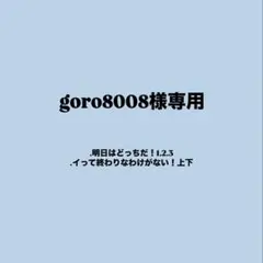 goro8008様 リクエスト 2点 まとめ商品