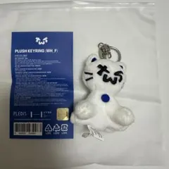 TWS トゥニャンイ　キーリング　ねこ　公式　PLUSH KEYRING CAT TWS トゥニャンイ キーリング ねこ 公式 PLUSH KEYRING CAT TWS