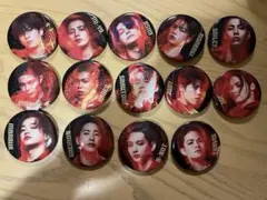 THE RAMPAGE BOT缶バッジ 14個セット