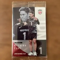 男子バレーボール ツインウエハース 関田誠大 選手ノーマル1枚