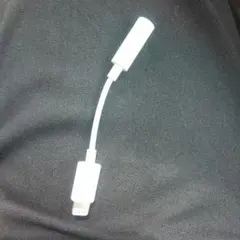 Lightning to 3.5mm音声変換アダプタ