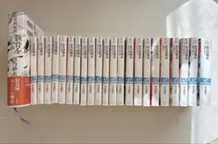 【全巻セット】彩雲国物語 22冊+骸骨を乞う1冊