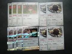 ホーホー　ヨルノズク　バッフロン　12枚　汎用