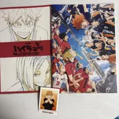 ハイキュー!! ゴミ捨て場の決戦 まとめ