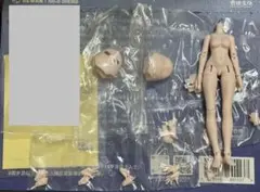 寄予宇宙 ボディ 素体 ブラインドドール BJD