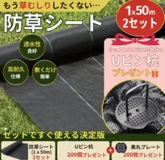 防雑草シート、耐久性約8年高透水性2m x50mUピン200個セット園芸用 